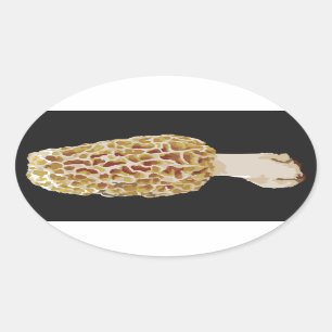 Yellow Morel Morchella esculenta Dark  Ovl Sticker