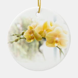Yellow Moth Orchid in Sunshine Ceramic Tree Decoration
