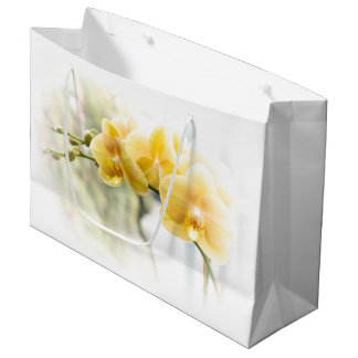 Yellow Moth Orchid in Sunshine Large Gift Bag