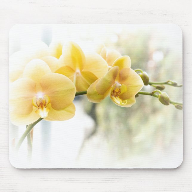 Yellow Moth Orchid in Sunshine Mouse Pad (Front)