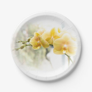 Yellow Moth Orchid in Sunshine Paper Plate