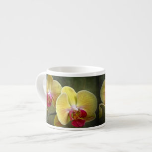 Yellow Moth Orchids - Phalaenopsis Espresso Cup