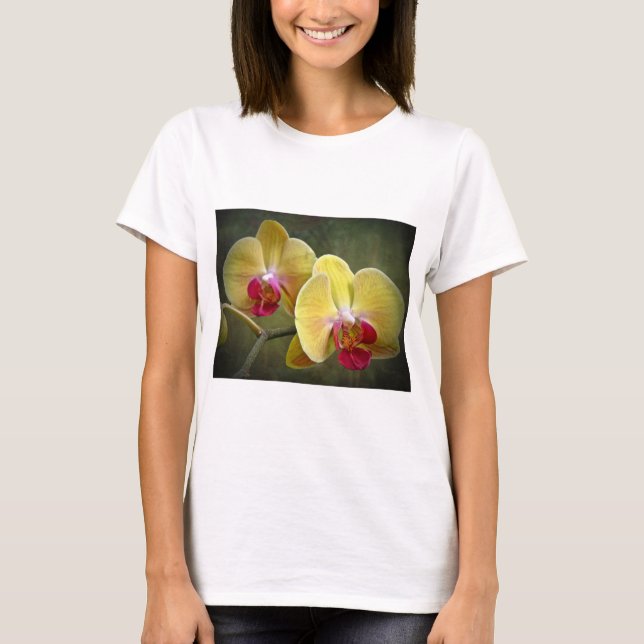 Yellow Moth Orchids - Phalaenopsis T-Shirt (Front)