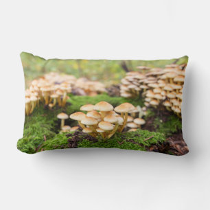 Yellow mushrooms in the autumn forest. lumbar cushion