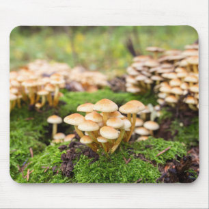 Yellow mushrooms in the autumn forest. mouse pad