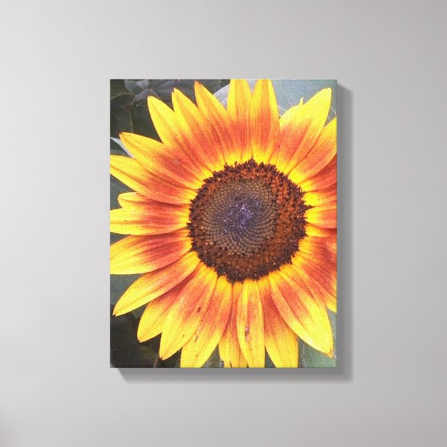 Yellow N Orange Sunflower Wrapped canvas (Front)
