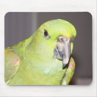 Yellow-Naped Amazon Parrot Mousepad