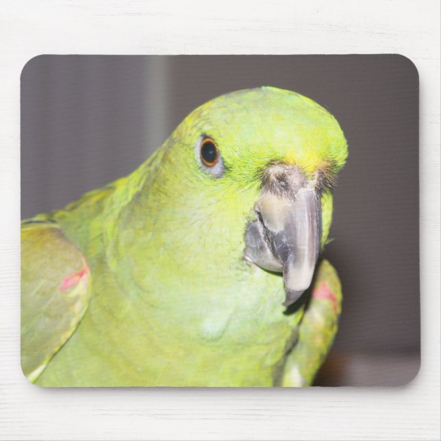 Yellow-Naped Amazon Parrot Mousepad (Front)