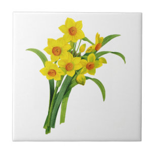 Yellow Narcissus by Pierre Joseph Redoute Tile