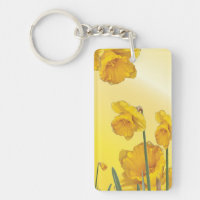 Yellow Narcissus Daffodil