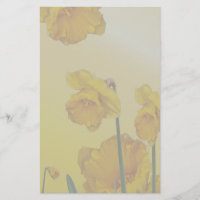 Yellow Narcissus Daffodil