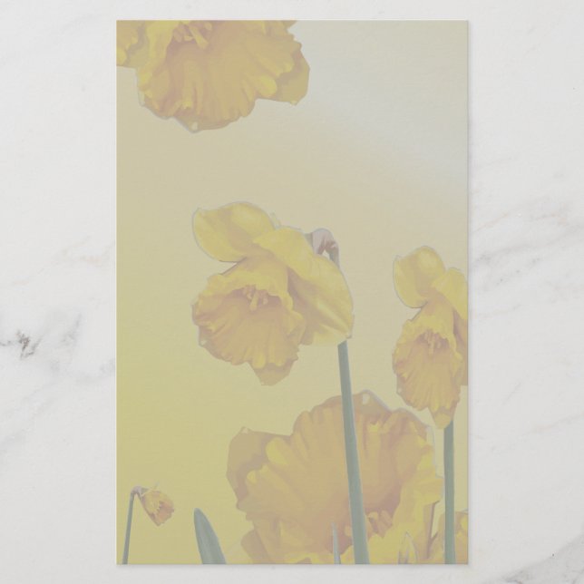 Yellow Narcissus Daffodil Stationery (Front)