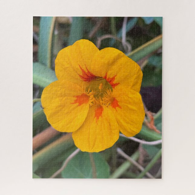 Yellow Nasturtium, San Francisco Jigsaw Puzzle (Vertical)