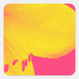 yellow on pink amaryllis closeup square sticker