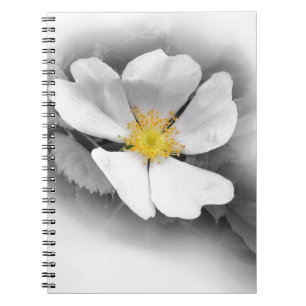 yellow on shades of grey notebook