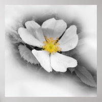 yellow on shades of grey