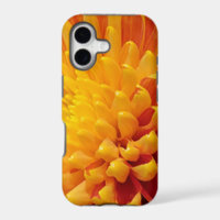 Yellow & Orange Chrysanthemum