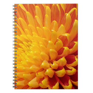 Yellow & Orange Chrysanthemum Spiral Notebook