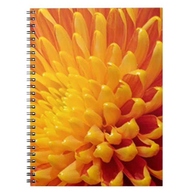 Yellow & Orange Chrysanthemum Spiral Notebook (Front)