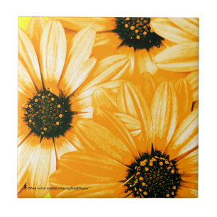 Yellow/Orange Daisies - Ceramic Tile