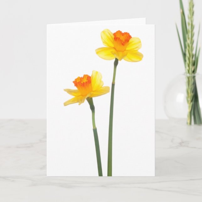 Yellow & Orange Jonquil Daffodils Card (Front)