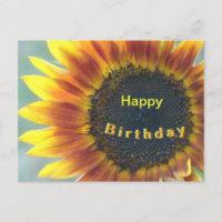 Yellow Orange Sunflower Happy Birthday Postcard