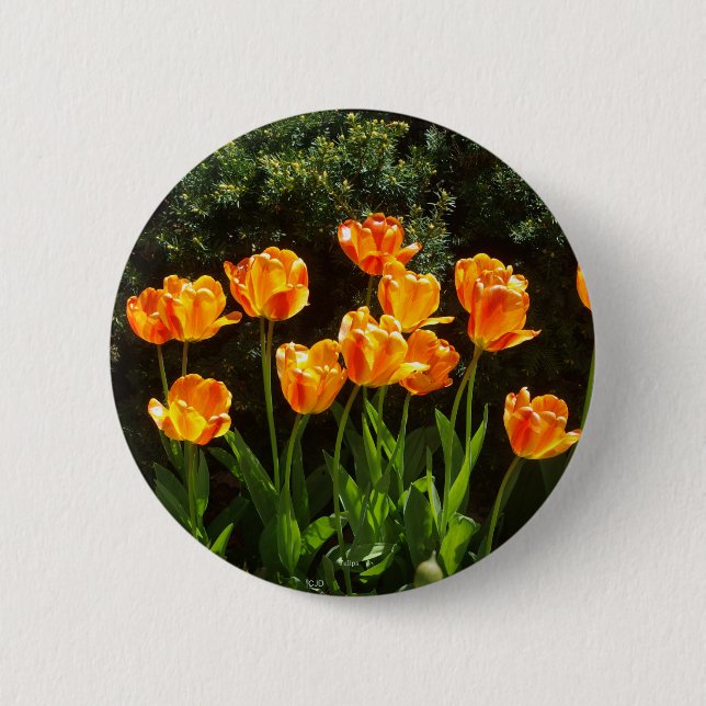 Yellow Orange Tulips button (Front)