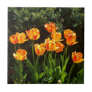 Yellow Orange Tulips tile