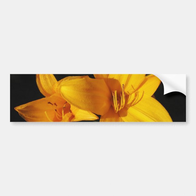 Yellow Orchid Bumper Sticker (Front)