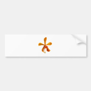 Yellow Orchid Bumper Sticker