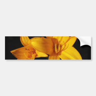 Yellow Orchid Bumper Sticker