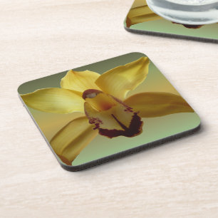Yellow Orchid coasters