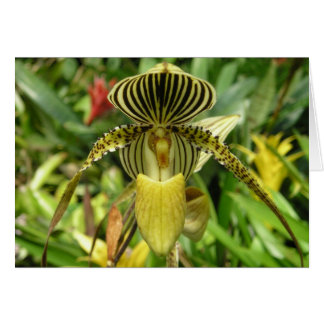 Yellow Orchid Flower Card