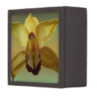 Yellow Orchid Jewellery Box