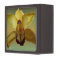 Yellow Orchid Jewellery Box