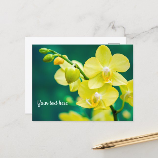 Yellow Orchid on Green Postcard (Front/Back In Situ)