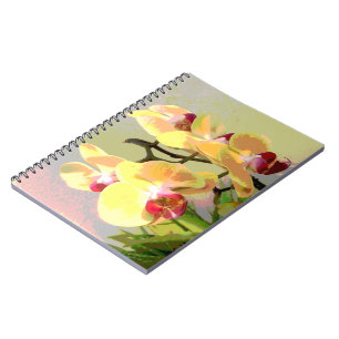 Yellow Orchids in the afternoon sun Notebook