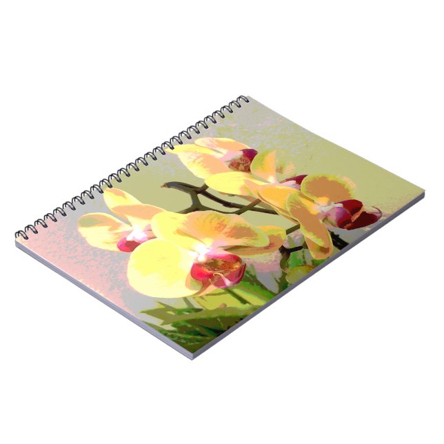 Yellow Orchids in the afternoon sun Notebook (Left Side)