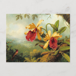 Yellow Orchids Postcard
