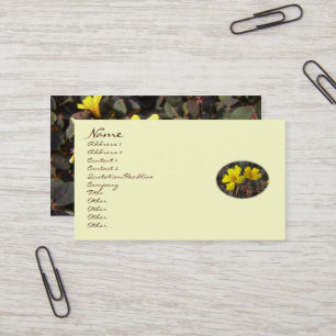 Yellow Oxalis Flowers - Shamrock - Clover Business Card