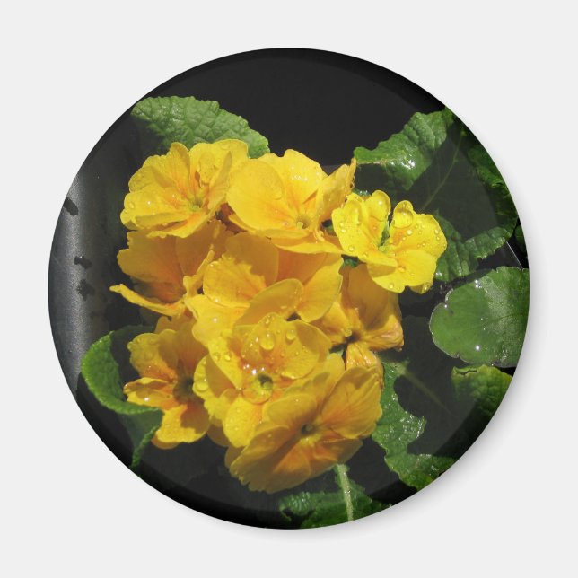 Yellow Pansies Magnet (Front)