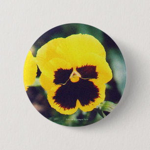 Yellow Pansy 6 Cm Round Badge