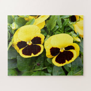 Yellow pansy flowers jigsaw puzzle