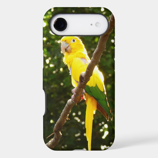 Yellow Parrot (Back)