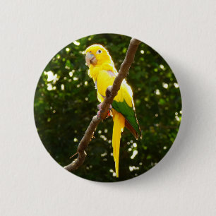 Yellow Parrot 6 Cm Round Badge
