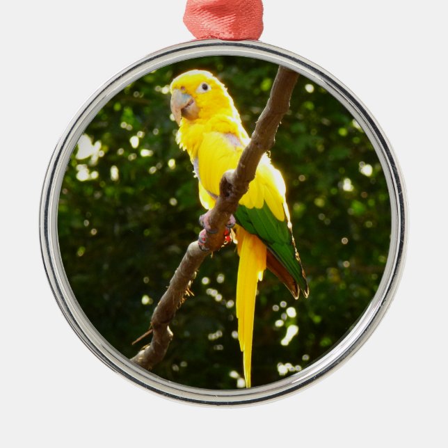 Yellow Parrot Metal Tree Decoration (Front)