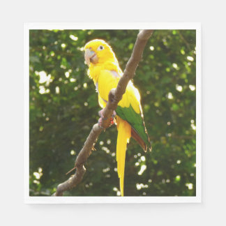Yellow Parrot Napkin