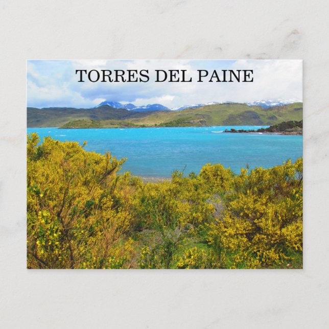 yellow patagonia postcard (Front)