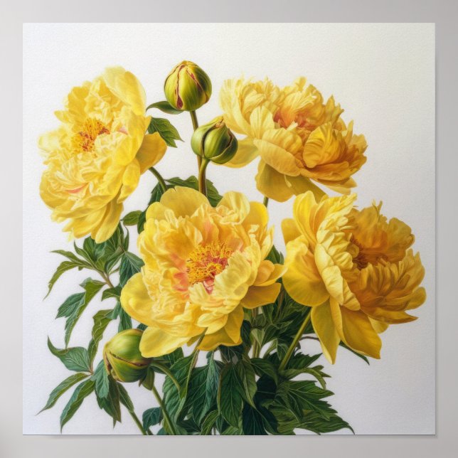 Yellow Peonies Flower Art Print Poster (Front)