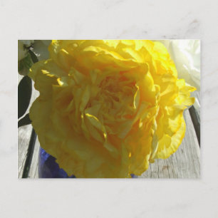 Yellow Peonies Postcard